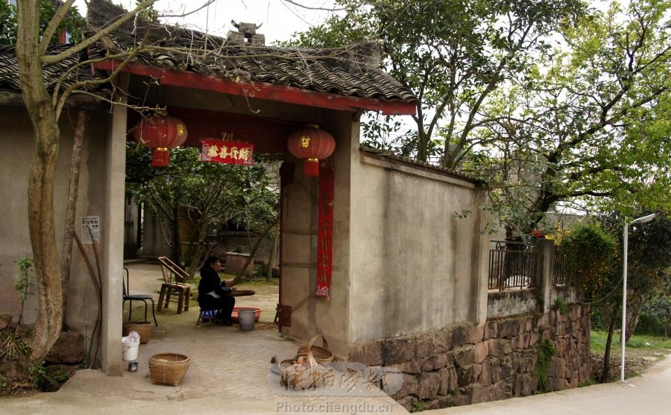 山东平阴小飞机坠入农家院 驾驶员死亡(图)